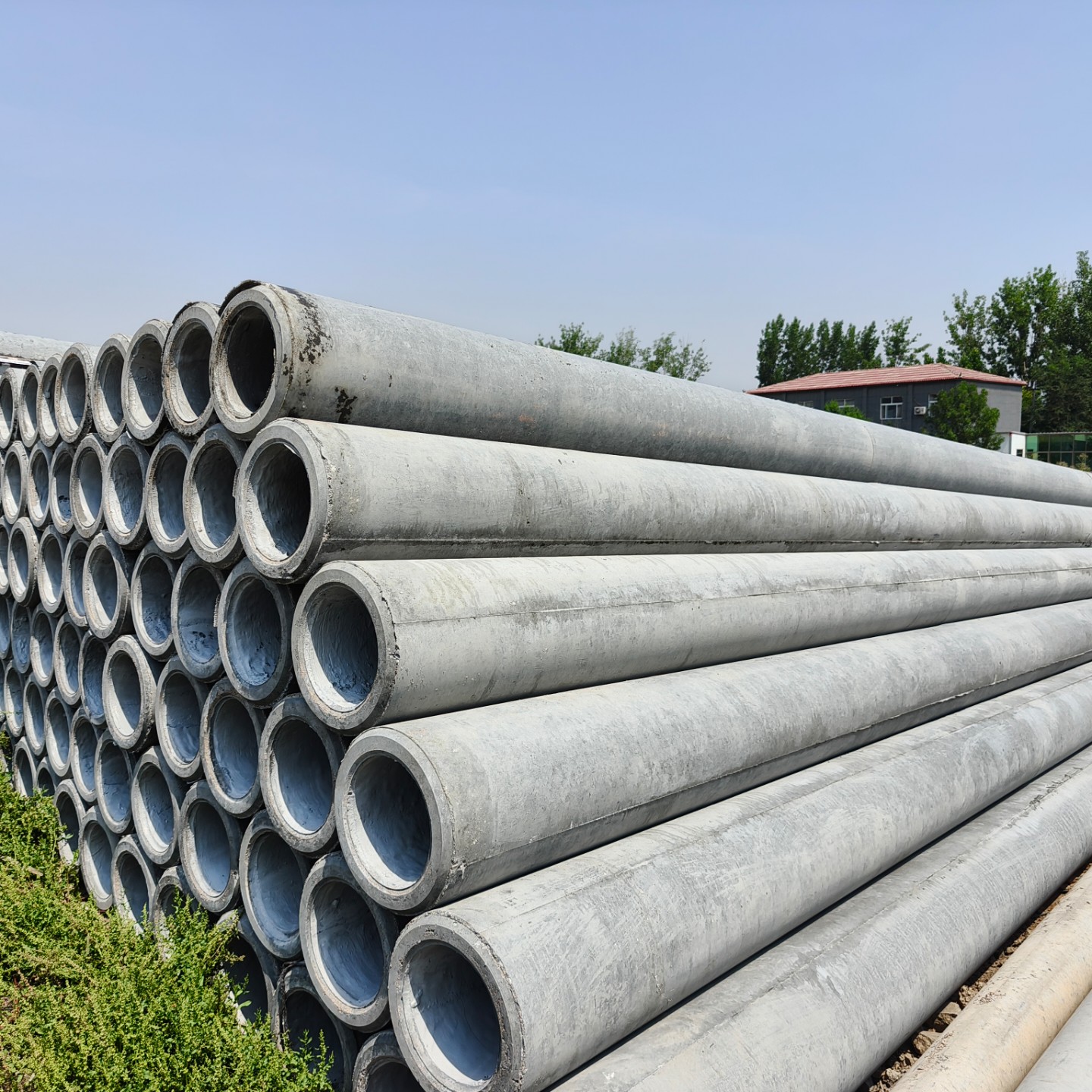 沙河口10米钢筋混凝土电杆